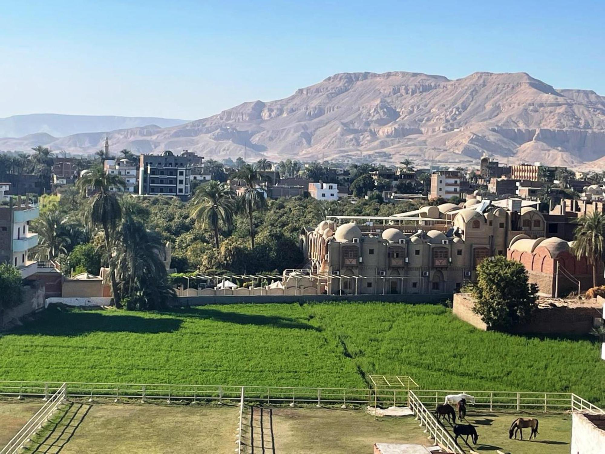 Royal Apartments Luksor Dış mekan fotoğraf